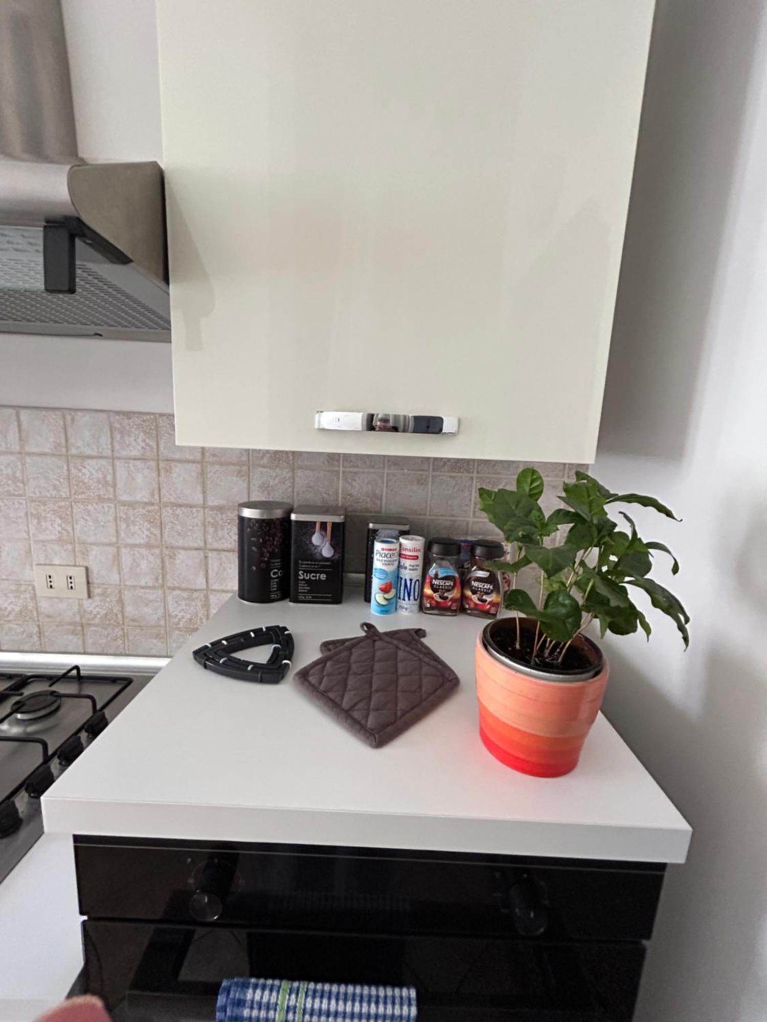 Tra mare e arte Apartment Lido di Ostia Exterior foto